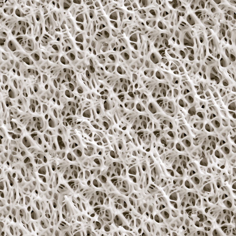 Sponge seamless background.